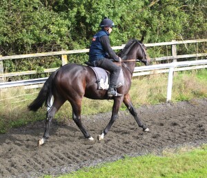 The Mohaather colt on the gallops