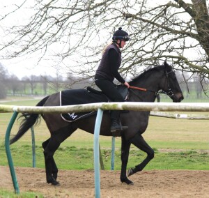 Baron Barolo trotting