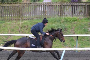 Beauhaather doing a second canter