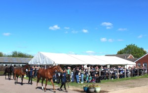 Open Day Parade