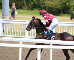 Beauhaather - son of Mohaather runs at Beverley