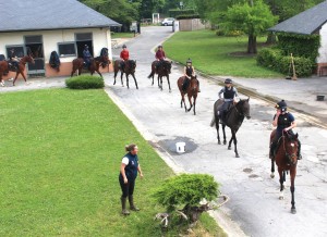 Amy giving instructions at 3rd lot
