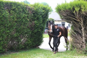 Victoire Magique coming to his Naming Day Party